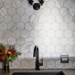 Lincoln Park Condo Kitchen