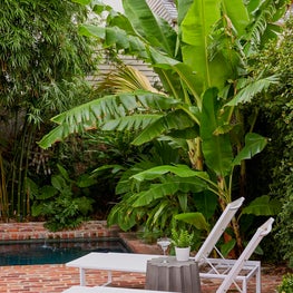 French Quarter Outdoor Oasis