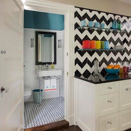 Historic Chestnut Hill Media Room Bathroom and Juice Bar