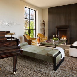 Sculptural Modern- Living Room