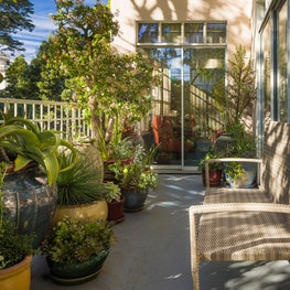 Russian Hill residence patio garden