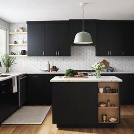 Sunnyvale Scandinavian Kitchen