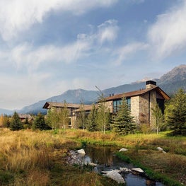 Shooting Star Rear View