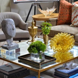 Luxe Lifestyle Cocktail Table