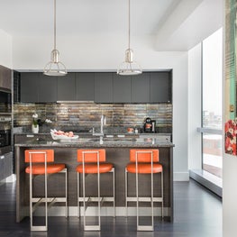 Luxury High rise condo kitchen