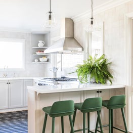 San Francisco MCM Remodel