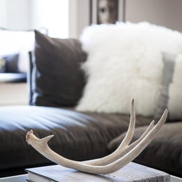 Coffee Table Detail - Antlers. Nashville, TN 