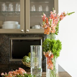 Kitchen in Logan Circle rowhouse