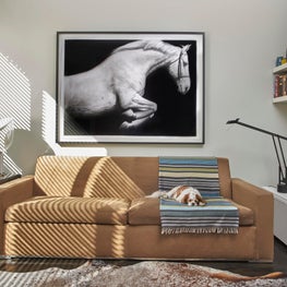 A Clean and Modern Living Room Interior Design in Bucktown, Chicago