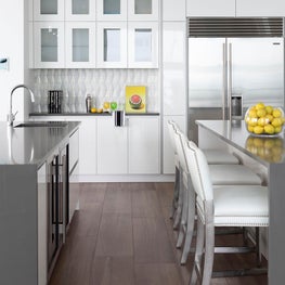 St. Petersburg, Florida Modern Penthouse Kitchen