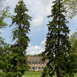 Tusculum Estate Exterior