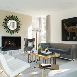 Contemporary Eclectic Living Room with Fireplace