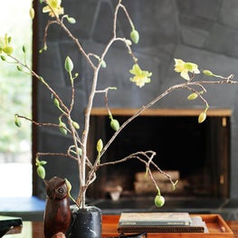 Soulful Home Living Room's accessories align with the overall subdued palette