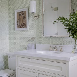 Beacon Hill Bathroom