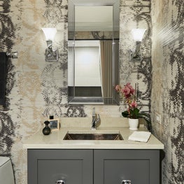 Evanston Guest Bathroom