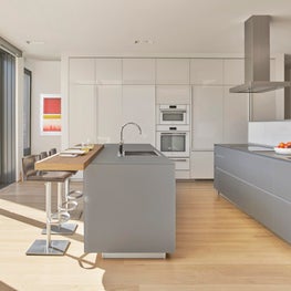 Bucktown Contemporary Family Home