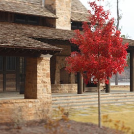 Lake Martin, Alabama 