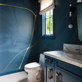 Portfolio: Blue Powder Room