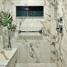 Evanston Master Bathroom Shower