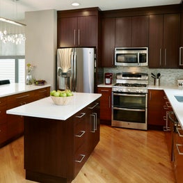 South Loop Town Home