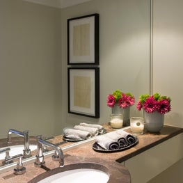 Powder Room in Logan Circle rowhouse
