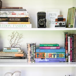 Built-In Bookshelf Oddities 