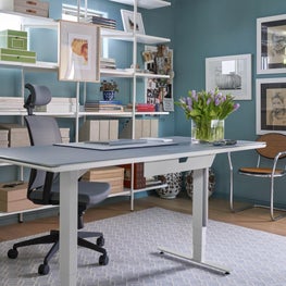 Home Office with Styled Shelving