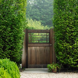 A natural wood gate bordered by a tall hedge frames a view of the orchard beyond