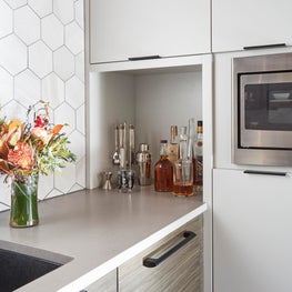 Lincoln Park Condo Kitchen