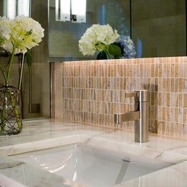 Ukrainian Village Renovation - ASID Award Winning Bath