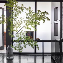 Cochran Project: Chastain Park