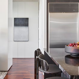 Streeterville Residence