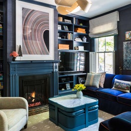 Alexandria, VA Family Room