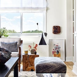 Washington DC Living Room