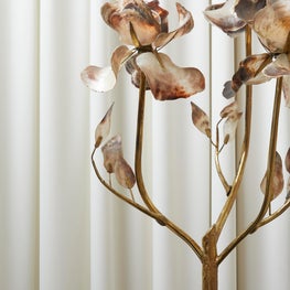 The Beauty of Nature