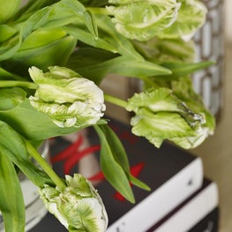 Lake Chatuge Residence