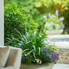 Paces Ferry - Garden Details 