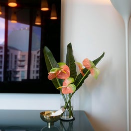 Coconut Grove Miami living room with vintage light fixture