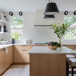 Brookline, Massachusetts Kitchen