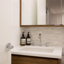 Contemporary Bathroom Vignette