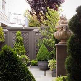 Presidio Heights Garden