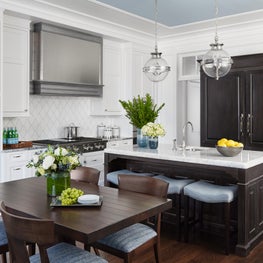 Lincoln Park Single Family Home Kitchen/Breakfast Room 