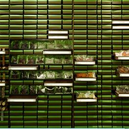 View of Custom Display System