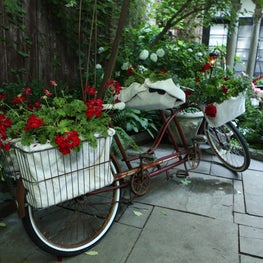 Gold Coast Garden Walk: Paris is a Picnic