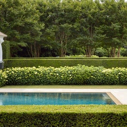 Layers of hedges, hydrangea and trees define a garden room for the pool.