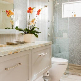 Brookline Master Bath 