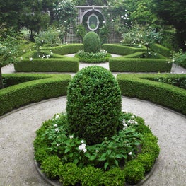 Formal green and white garden of boxwood parterres and lattice screen.