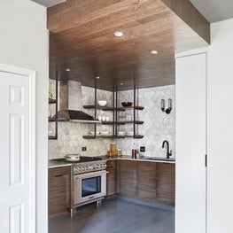 Lincoln Park Condo Kitchen