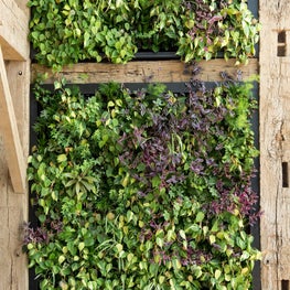 Delaware River Home, New Hope Living Wall
