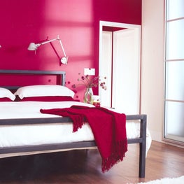 Adaptive Sleek and Modern 